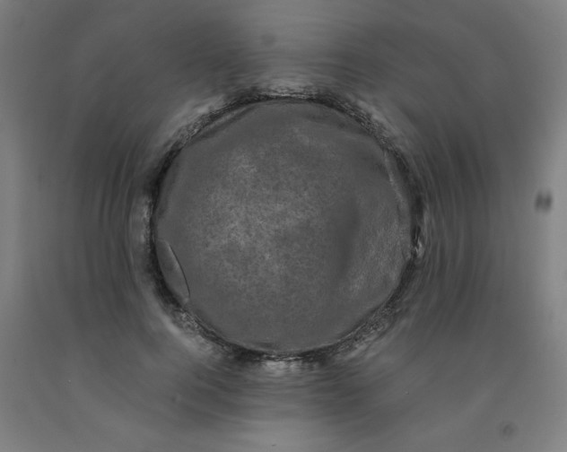 X0000091880744200709261351