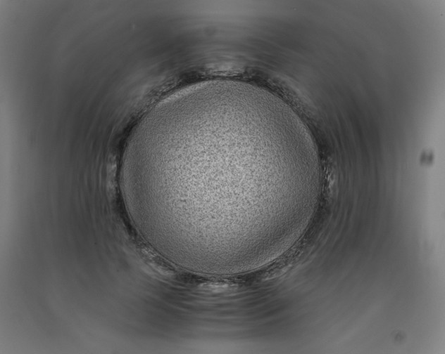 X0000091880745200709261351