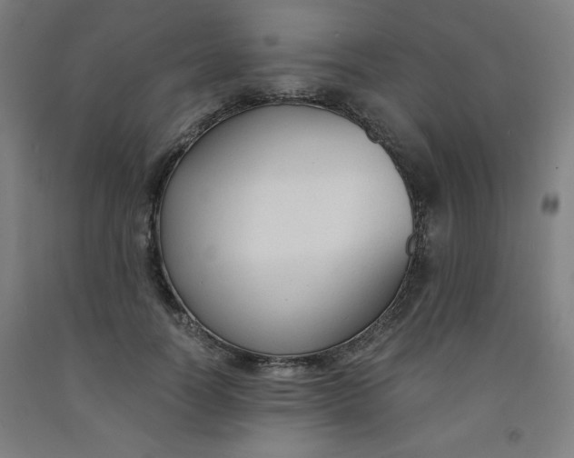 X0000091880746200709261351