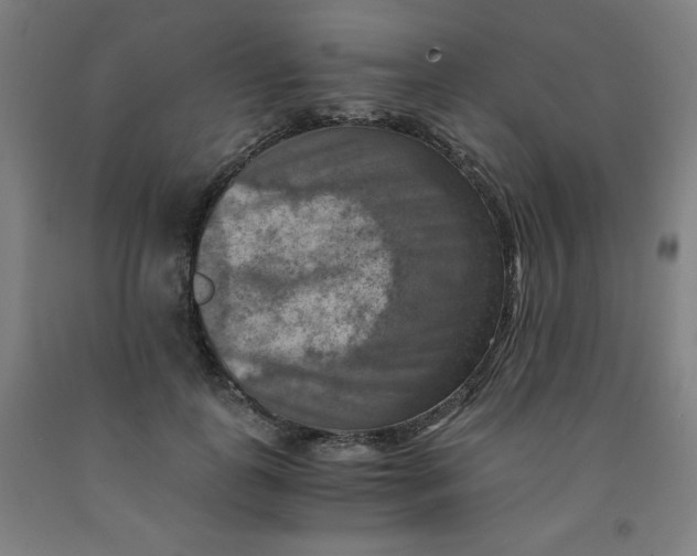 X0000091880747200709261351