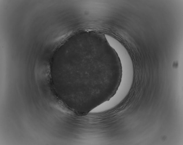 X0000091880748200709261351