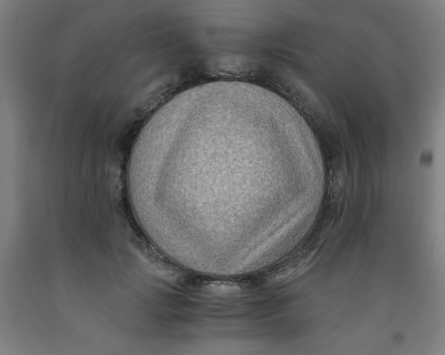 X0000091880749200709261351