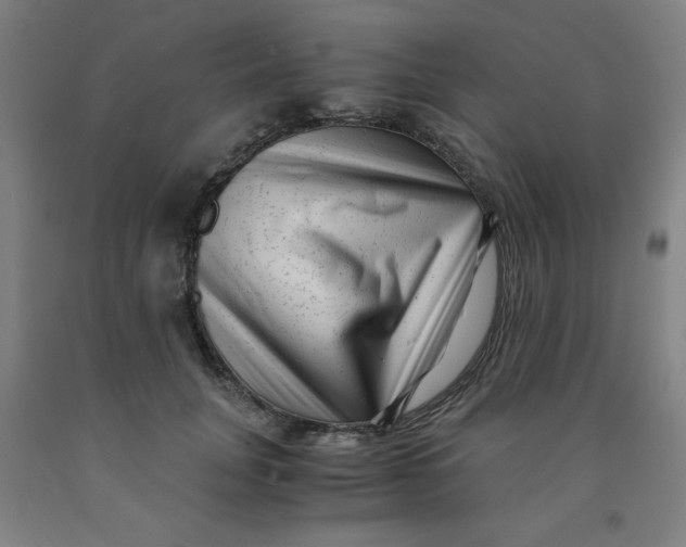 X0000091880751200709261351