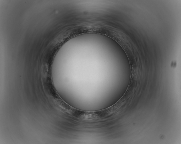 X0000091880752200709261351