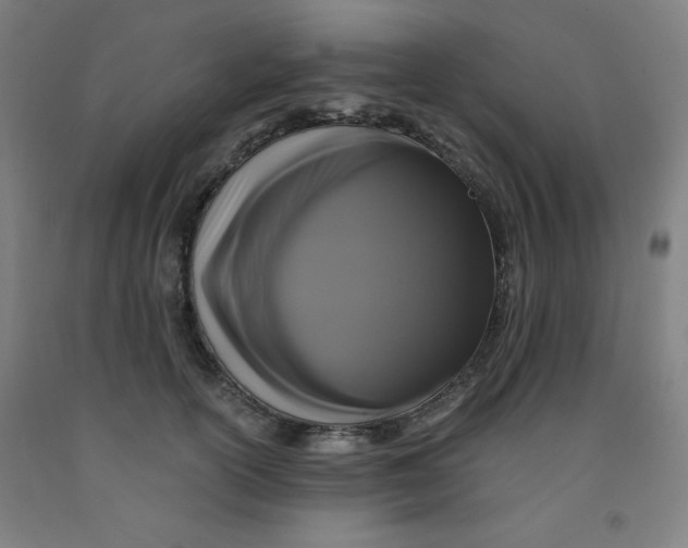 X0000091880754200709261351