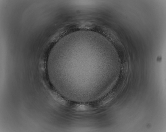 X0000091880755200709261351