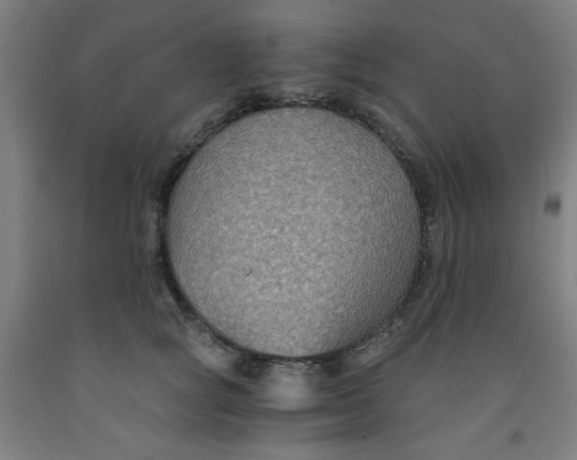 X0000091880757200709261351