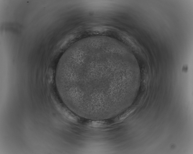 X0000091880758200709261351