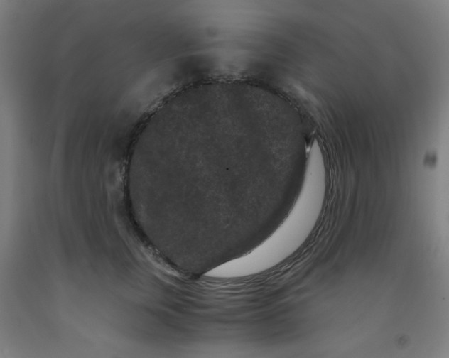 X0000091880759200709261351