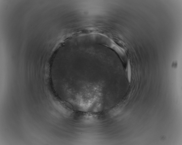 X0000091880760200709261351