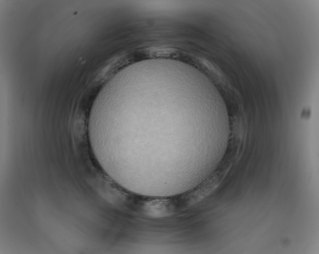 X0000091880761200709261351