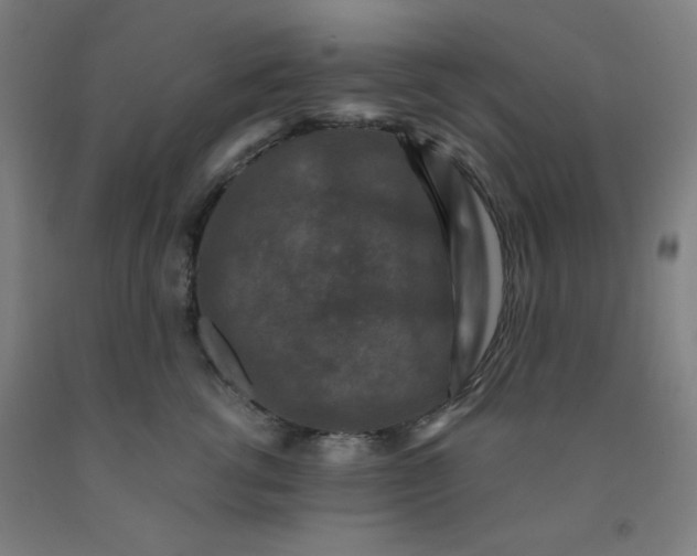 X0000091880762200709261351