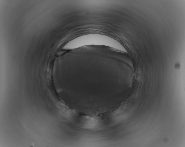 X0000091880763200709261351