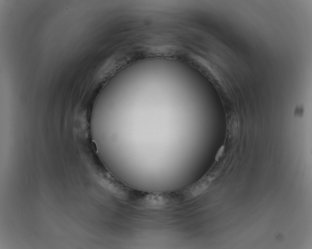 X0000091880764200709261351