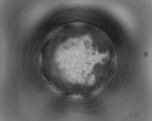 X0000091880765200709261351