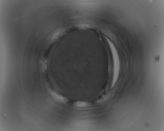 X0000091880766200709261351