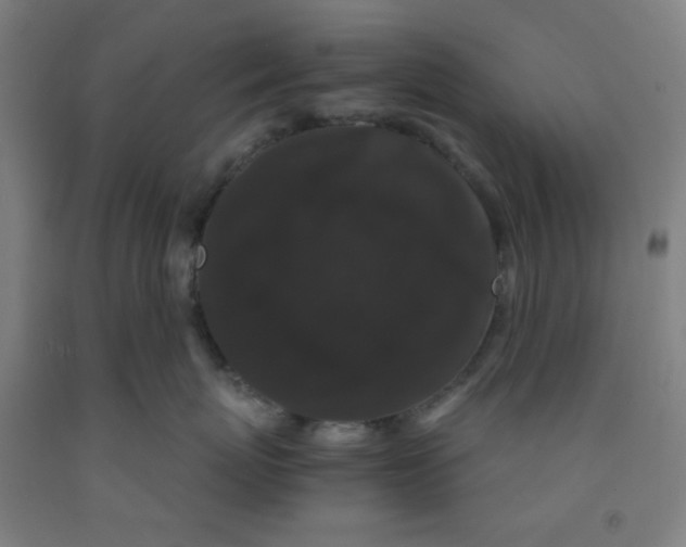 X0000091880767200709261351