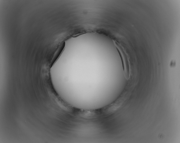 X0000091880768200709261351