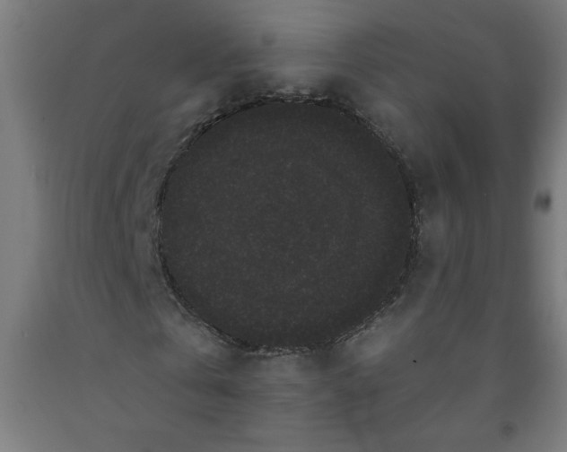 X0000091880769200709261350