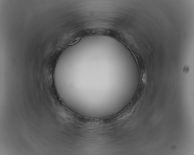 X0000091880771200709261350