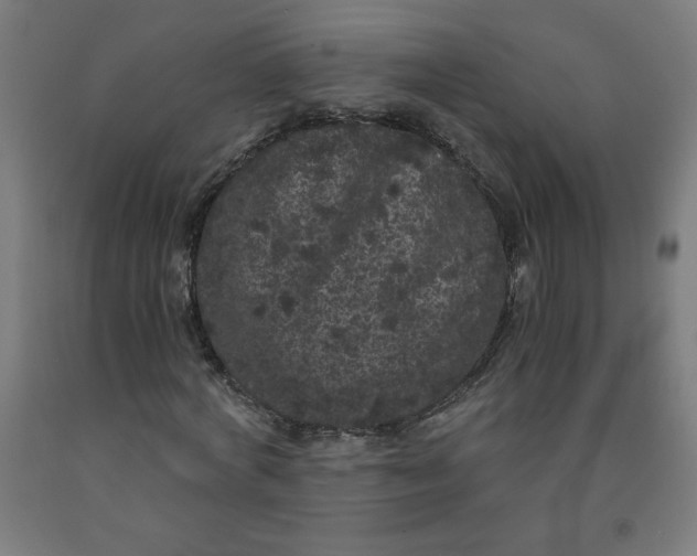 X0000091880772200709261350