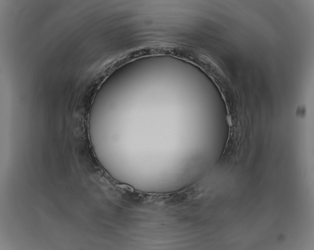 X0000091880773200709261350