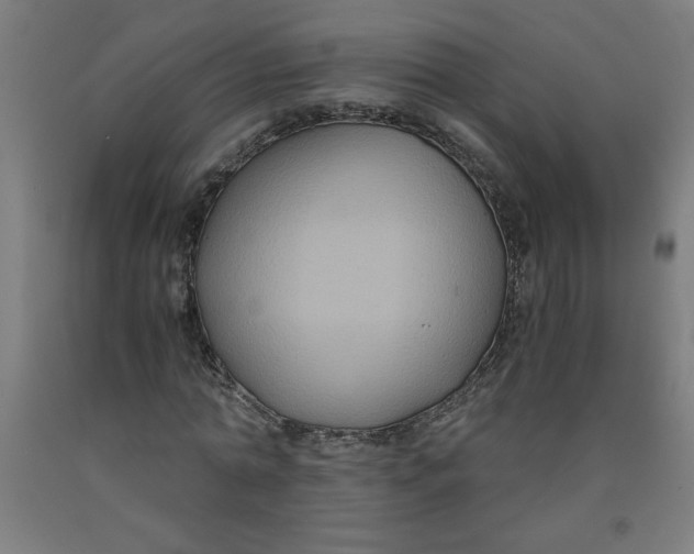 X0000091880774200709261350