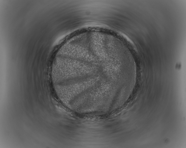 X0000091880775200709261350