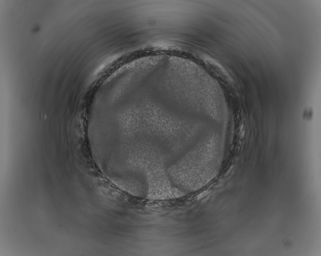 X0000091880776200709261350