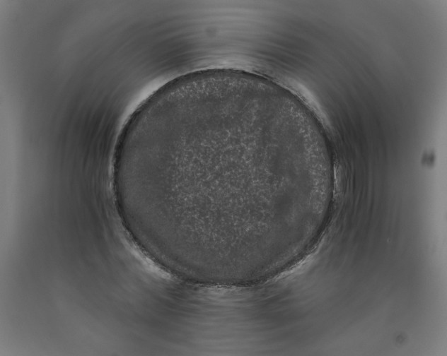 X0000091880780200709261350