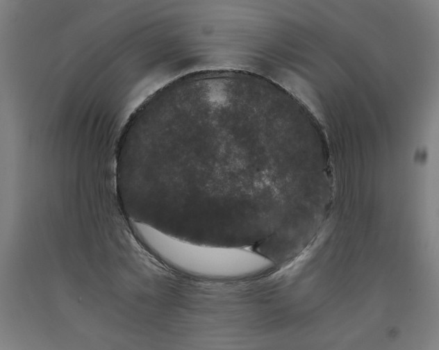 X0000091880781200709261350