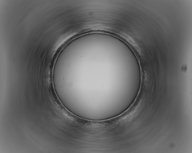 X0000091880782200709261350