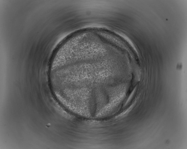 X0000091880783200709261350