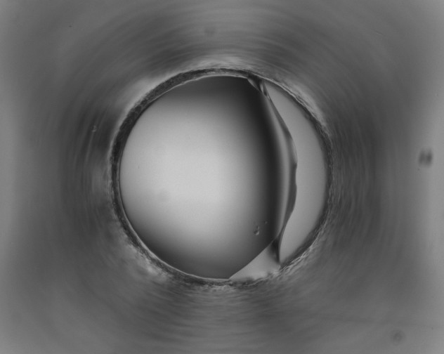 X0000091880784200709261350