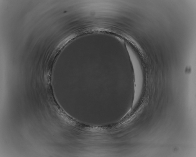 X0000091880785200709261350