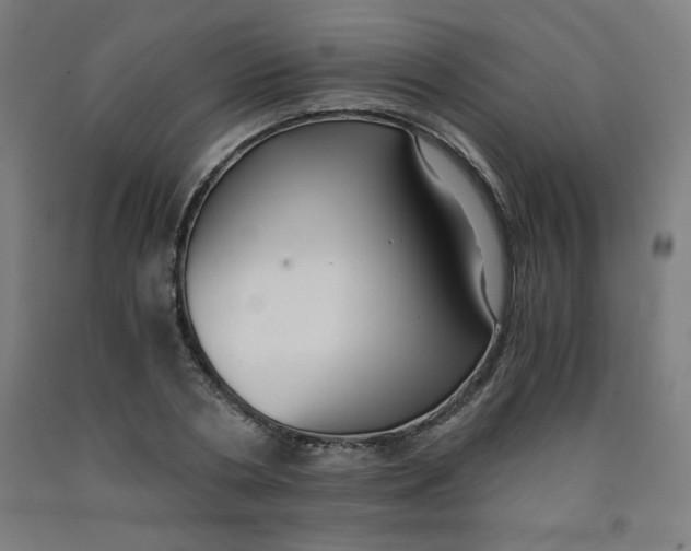 X0000091880786200709261350