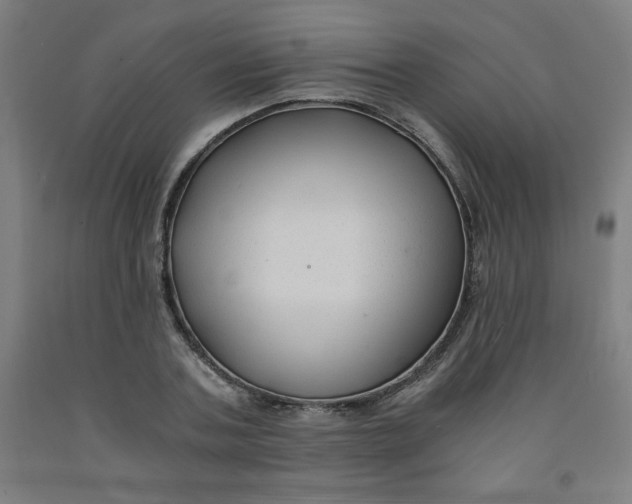 X0000091880787200709261350