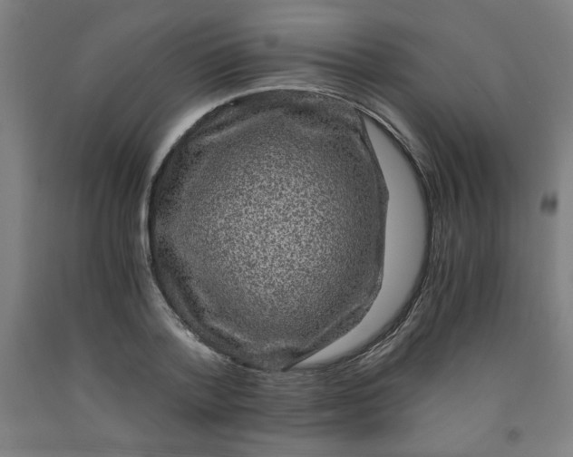 X0000091880788200709261350