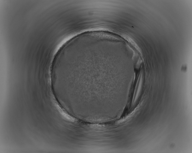 X0000091880789200709261350