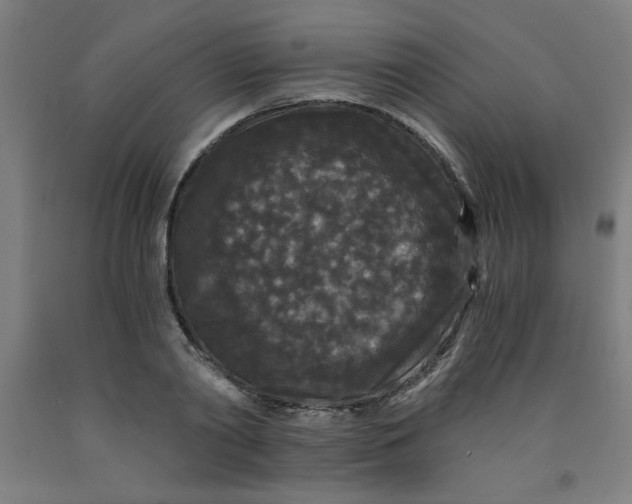 X0000091880790200709261350