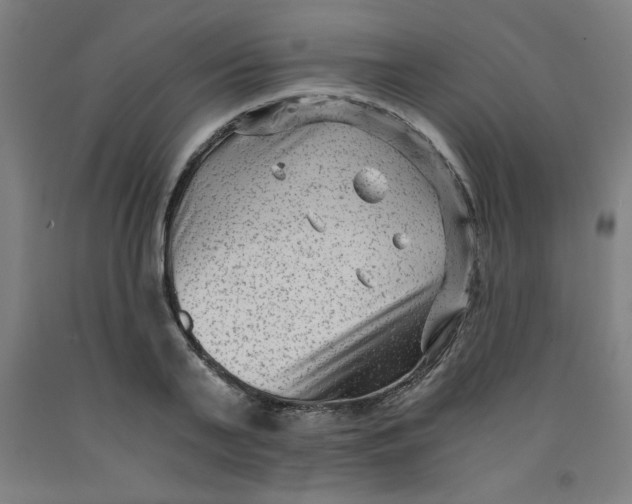 X0000091880791200709261350