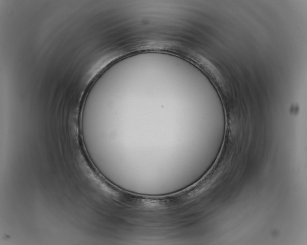 X0000091880794200709261350