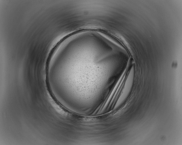 X0000091880795200709261350