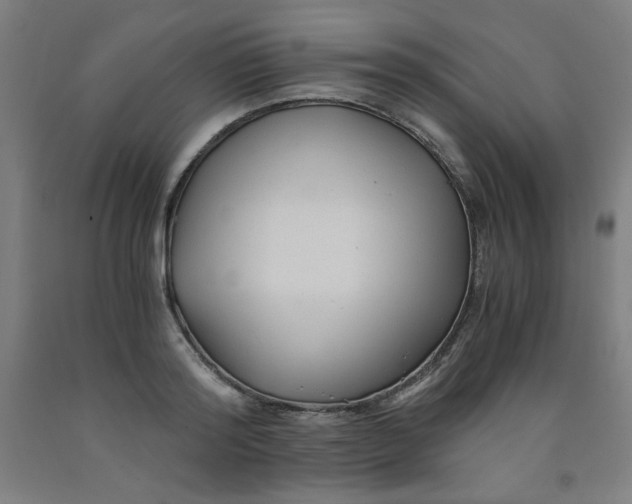 X0000091880796200709261350