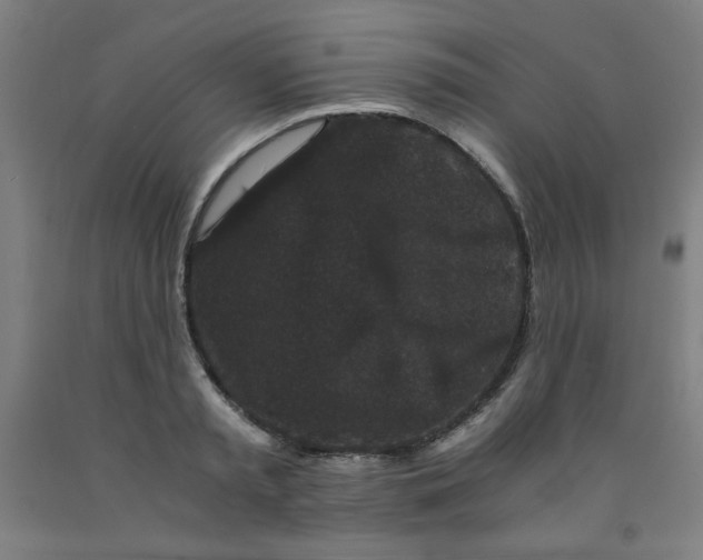 X0000091880797200709261350