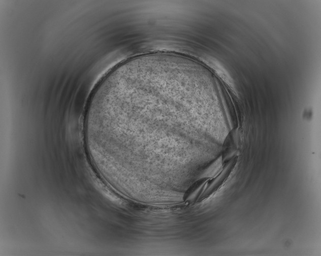 X0000091880798200709261350