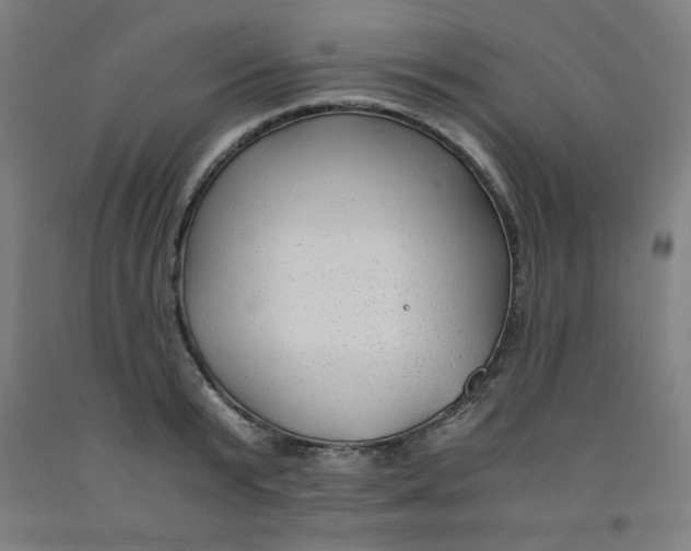 X0000091880799200709261350