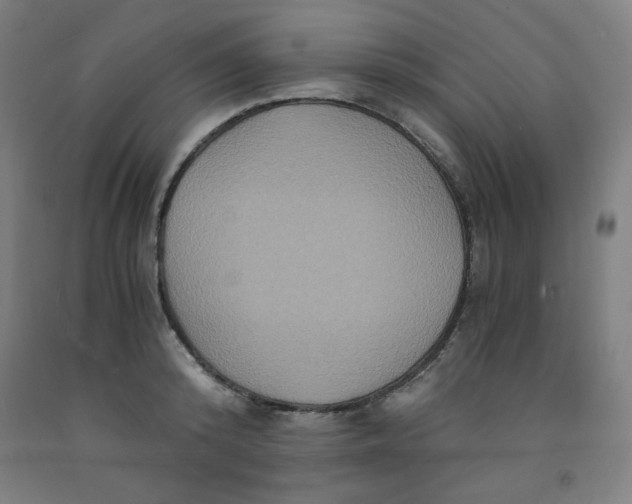 X0000091880800200709261350