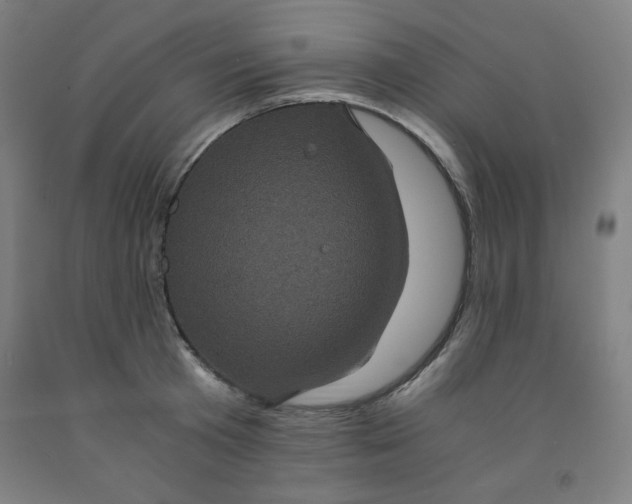 X0000091880801200709261350