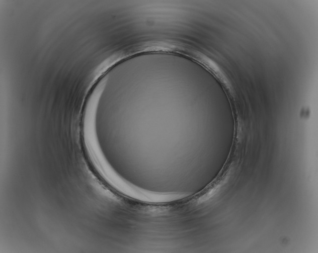 X0000091880802200709261350